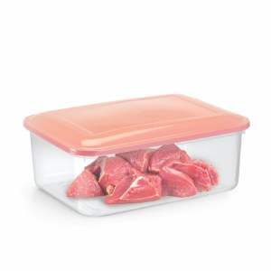 CAIXA ORGANIZADORA 07,5L RAINHA 420