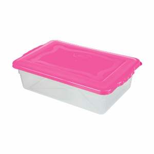 CAIXA ORGANIZADORA 10 LTS ALVES 7010